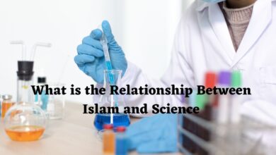 What is the Relationship Between Islam and Science
