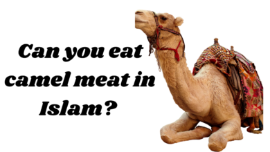 Can you eat camel meat in Islam?