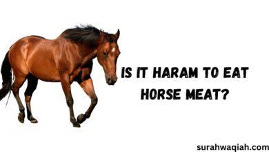 Is It Haram to Eat Horse Meat?