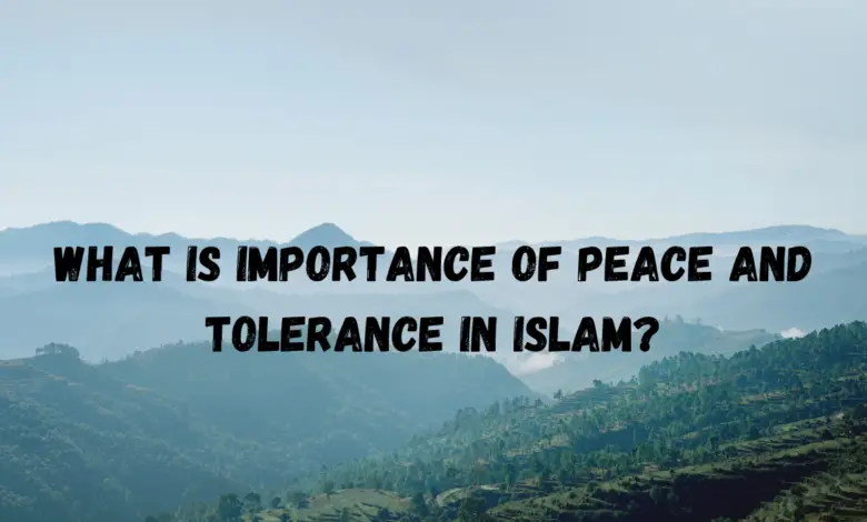Importance of Peace and Tolerance in Islam
