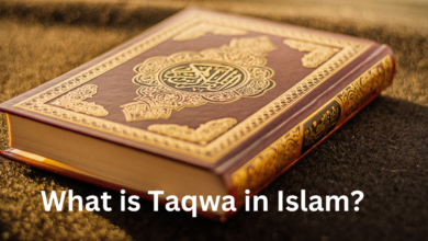 What is Taqwa in Islam ?