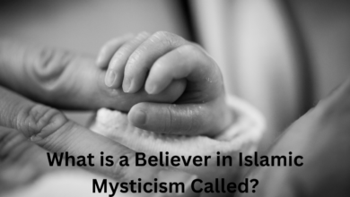 What is a Believer in Islamic Mysticism Called