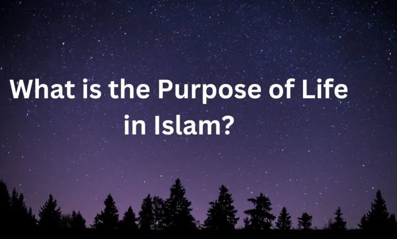What is the Purpose of Life in Islam?