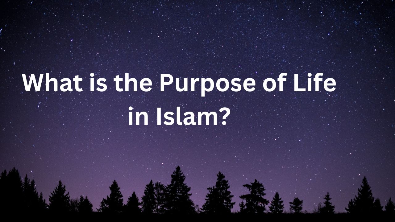purpose of life in islam essay
